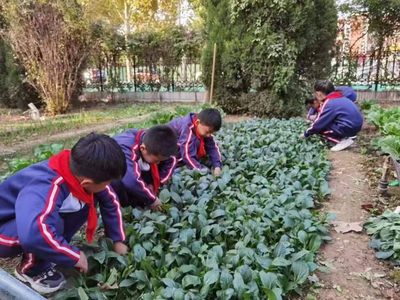 劳动技术学院如何引领未来？——从传统到现代的变革之路